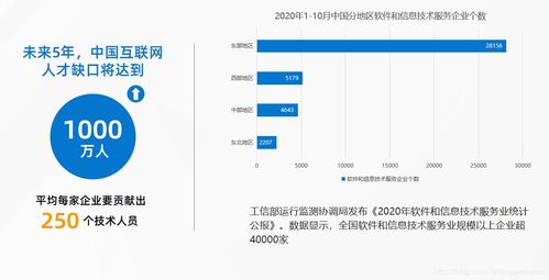 軟件開發(fā)企業(yè)的轉(zhuǎn)型之路 挑戰(zhàn)、策略與實(shí)戰(zhàn)項(xiàng)目分享
